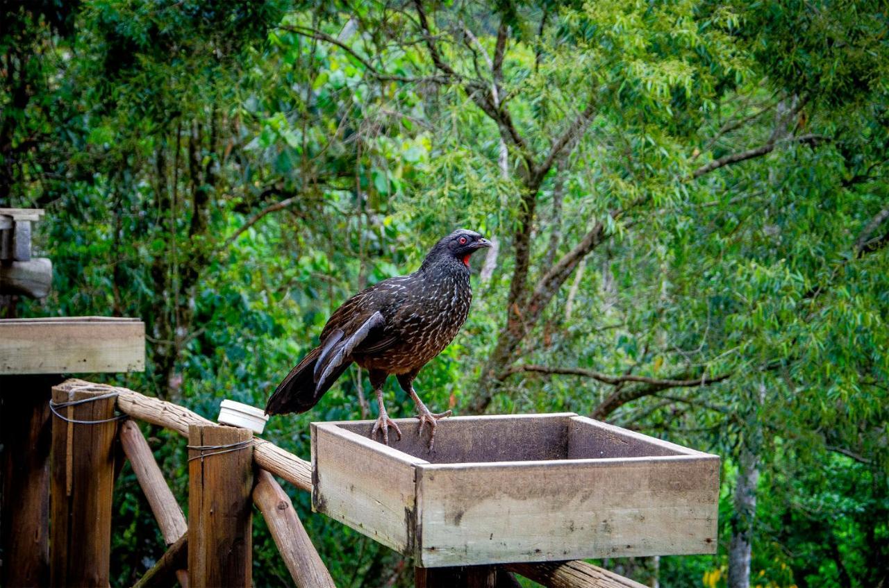 Pousada Rancho Das Framboesas Visconde de Mauá Exterior foto
